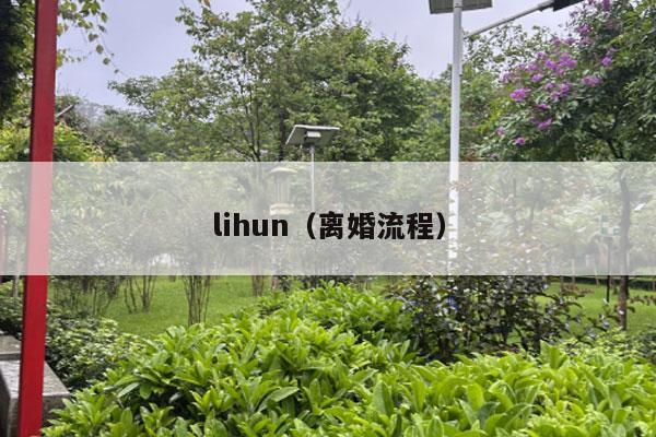 lihun（离婚流程）