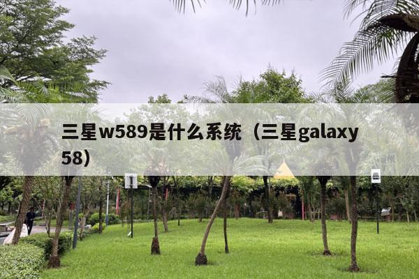 三星w589是什么系统（三星galaxy58）