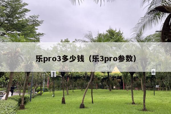 乐pro3多少钱（乐3pro参数）