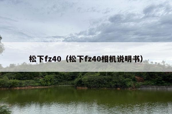 松下fz40（松下fz40相机说明书）