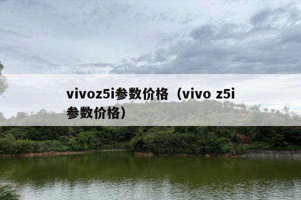 vivoz5i参数价格（vivo z5i参数价格）