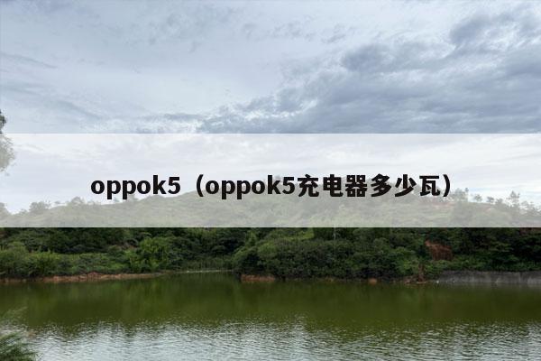 oppok5（oppok5充电器多少瓦）