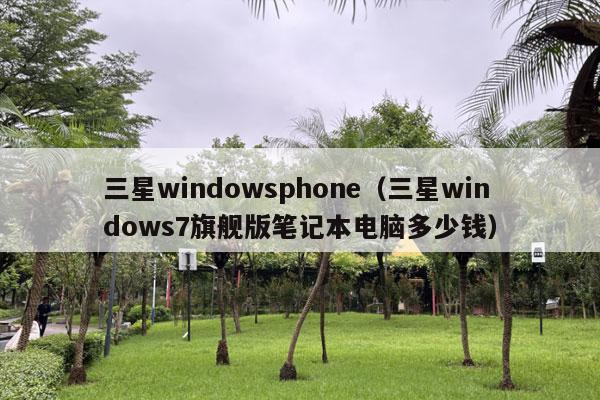 三星windowsphone（三星windows7旗舰版笔记本电脑多少钱）