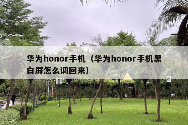 华为honor手机（华为honor手机黑白屏怎么调回来）