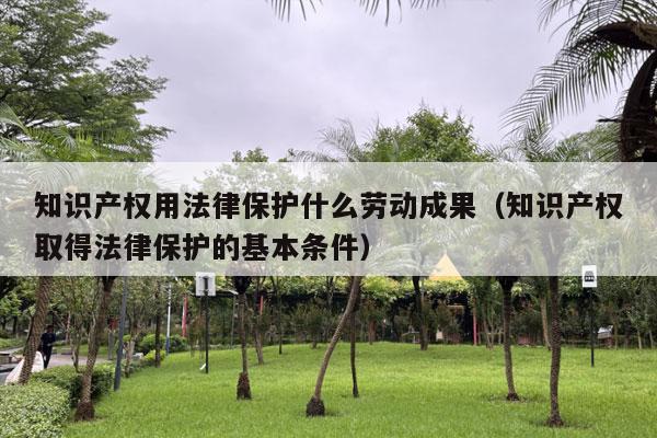 知识产权用法律保护什么劳动成果（知识产权取得法律保护的基本条件）