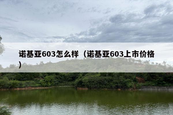 诺基亚603怎么样（诺基亚603上市价格）