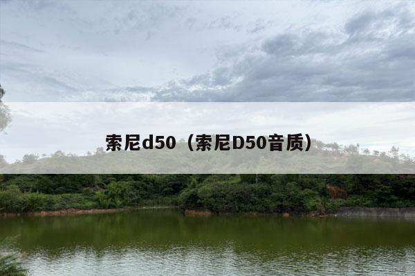 索尼d50（索尼D50音质）