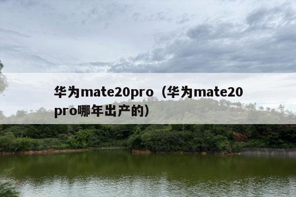 华为mate20pro（华为mate20pro哪年出产的）