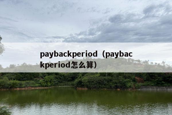 paybackperiod（paybackperiod怎么算）