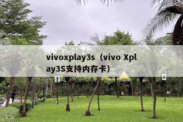 vivoxplay3s（vivo Xplay3S支持内存卡）