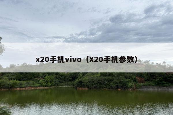 x20手机vivo（X20手机参数）