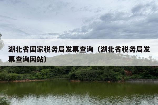 湖北省国家税务局发票查询（湖北省税务局发票查询网站）