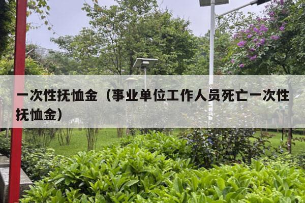 一次性抚恤金（事业单位工作人员死亡一次性抚恤金）