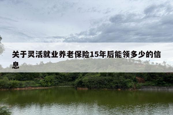 关于灵活就业养老保险15年后能领多少的信息