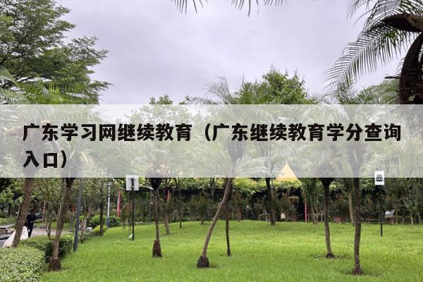 广东学习网继续教育（广东继续教育学分查询入口）