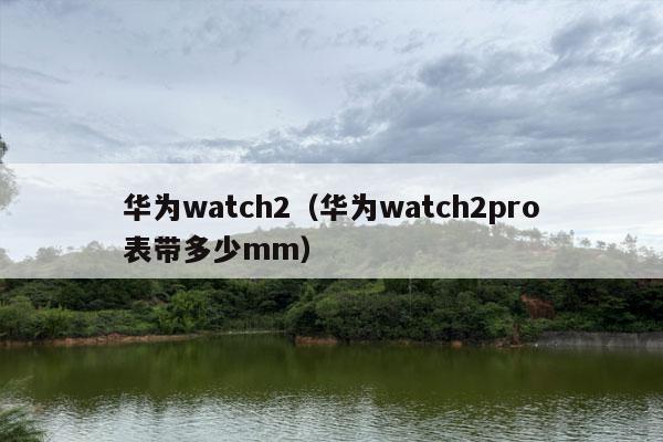 华为watch2（华为watch2pro表带多少mm）