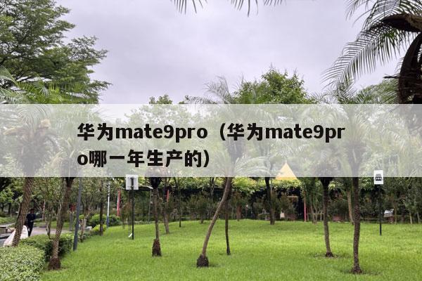 华为mate9pro（华为mate9pro哪一年生产的）