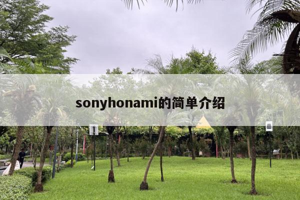 sonyhonami的简单介绍