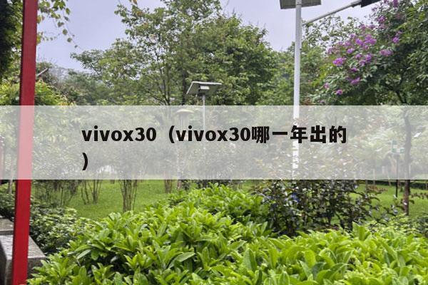 vivox30（vivox30哪一年出的）