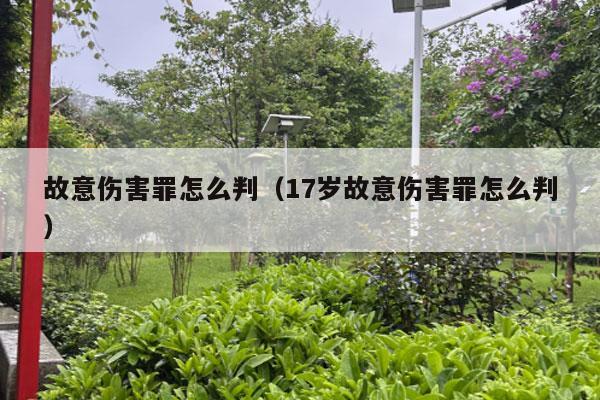 故意伤害罪怎么判（17岁故意伤害罪怎么判）