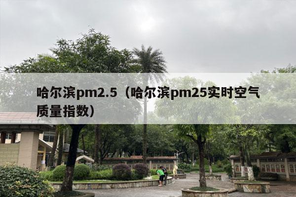 哈尔滨pm2.5（哈尔滨pm25实时空气质量指数）