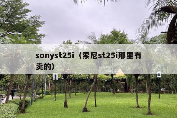 sonyst25i（索尼st25i那里有卖的）