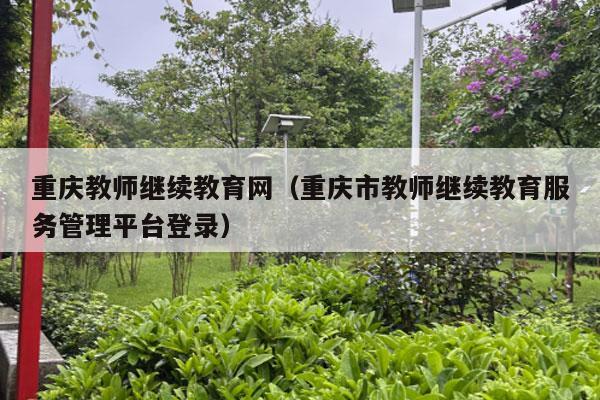 重庆教师继续教育网（重庆市教师继续教育服务管理平台登录）