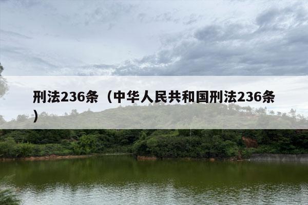 刑法236条（中华人民共和国刑法236条）