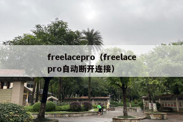 freelacepro（freelacepro自动断开连接）