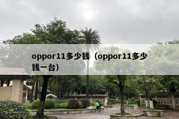 oppor11多少钱（oppor11多少钱一台）