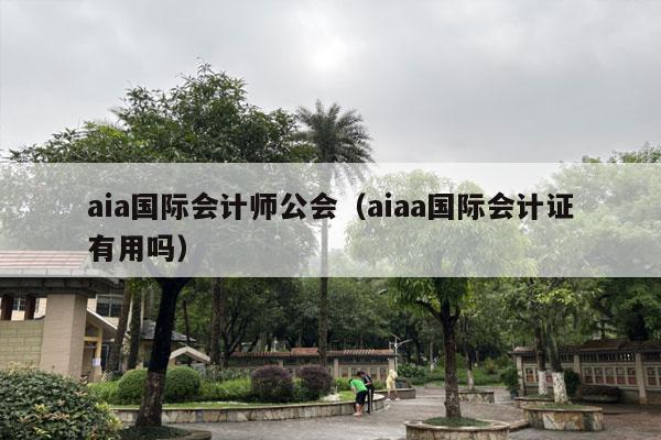 aia国际会计师公会（aiaa国际会计证有用吗）