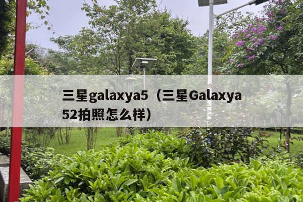 三星galaxya5（三星Galaxya52拍照怎么样）