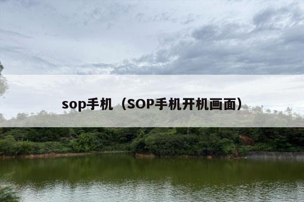 sop手机（SOP手机开机画面）