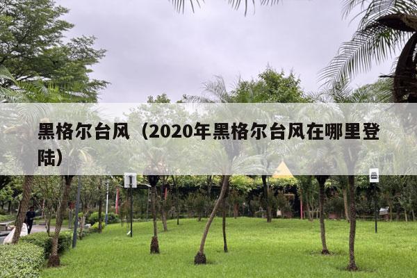 黑格尔台风（2020年黑格尔台风在哪里登陆）