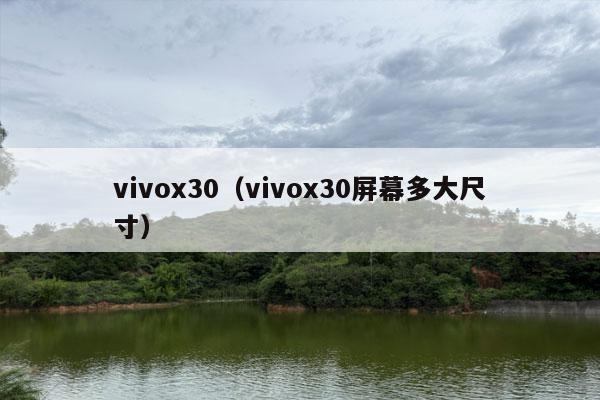 vivox30（vivox30屏幕多大尺寸）