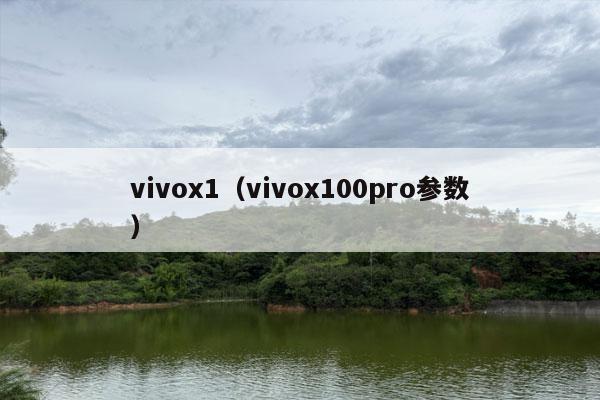 vivox1（vivox100pro参数）