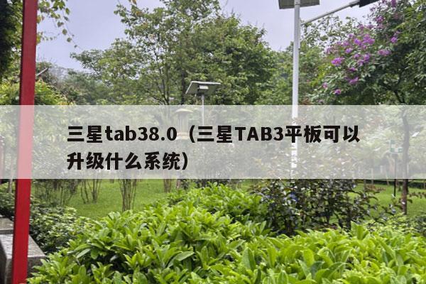 三星tab38.0（三星TAB3平板可以升级什么系统）