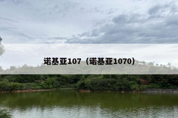 诺基亚107（诺基亚1070）