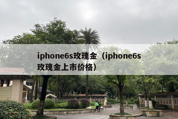 iphone6s玫瑰金（iphone6s玫瑰金上市价格）