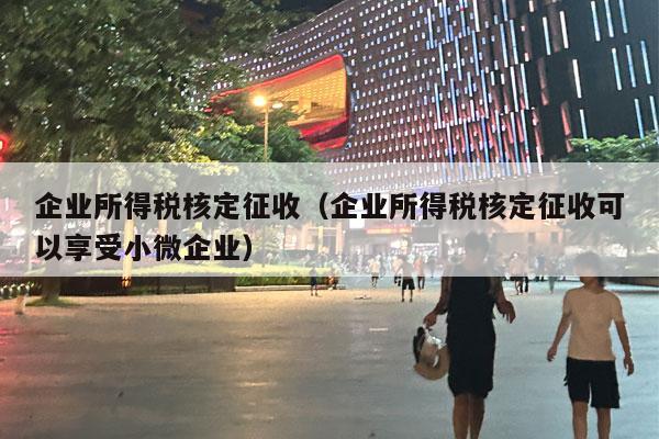 企业所得税核定征收（企业所得税核定征收可以享受小微企业）