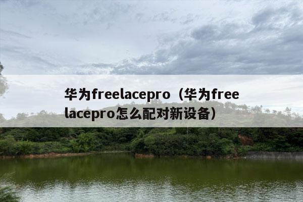 华为freelacepro（华为freelacepro怎么配对新设备）