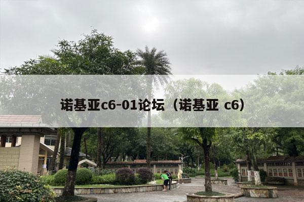 诺基亚c6-01论坛（诺基亚 c6）