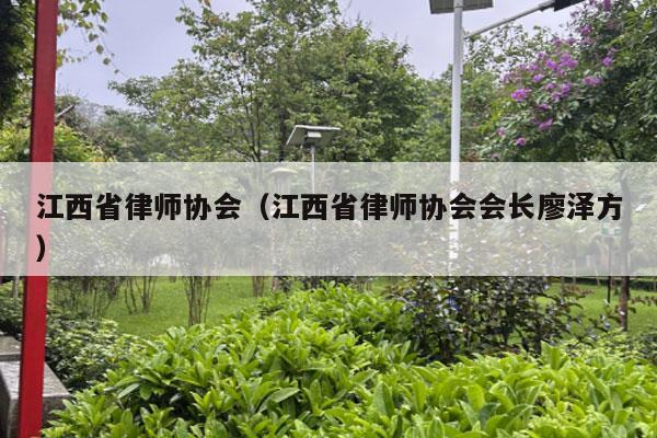 江西省律师协会（江西省律师协会会长廖泽方）