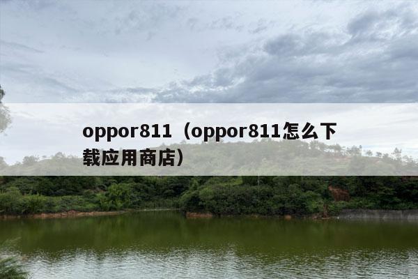 oppor811（oppor811怎么下载应用商店）