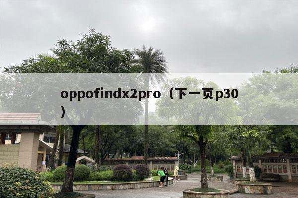 oppofindx2pro（下一页p30）