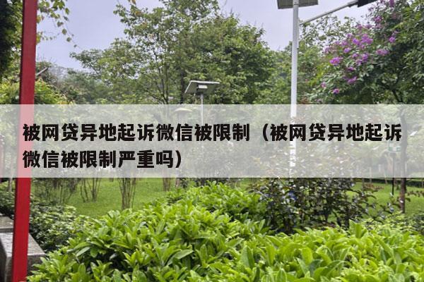 被网贷异地起诉微信被限制（被网贷异地起诉微信被限制严重吗）