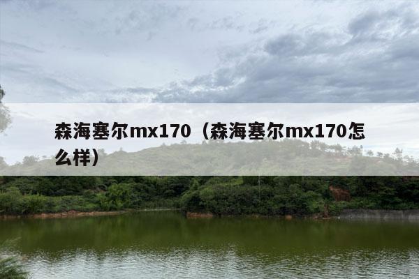 森海塞尔mx170（森海塞尔mx170怎么样）