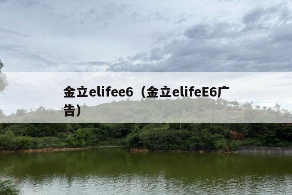 金立elifee6（金立elifeE6广告）