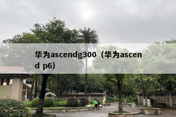 华为ascendg300（华为ascend p6）