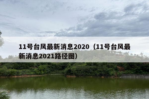 11号台风最新消息2020（11号台风最新消息2021路径图）